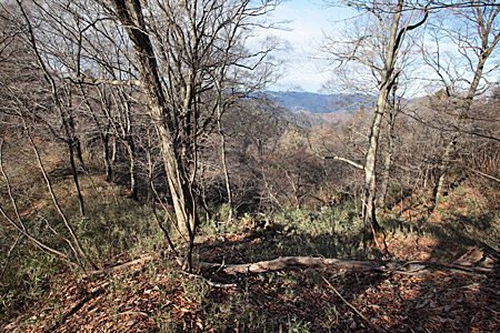 e0113053_23155659.jpg