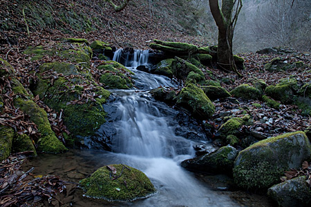 e0113053_23165987.jpg
