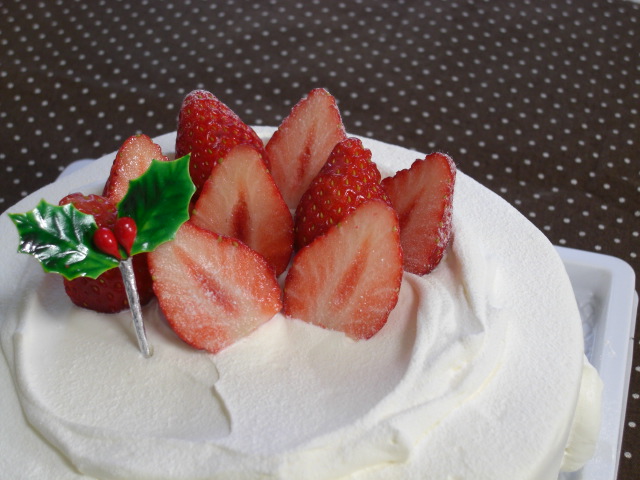 c0169360_16244761.jpg