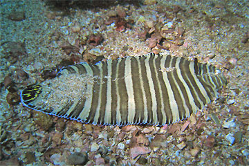 e0158261_13552758.jpg