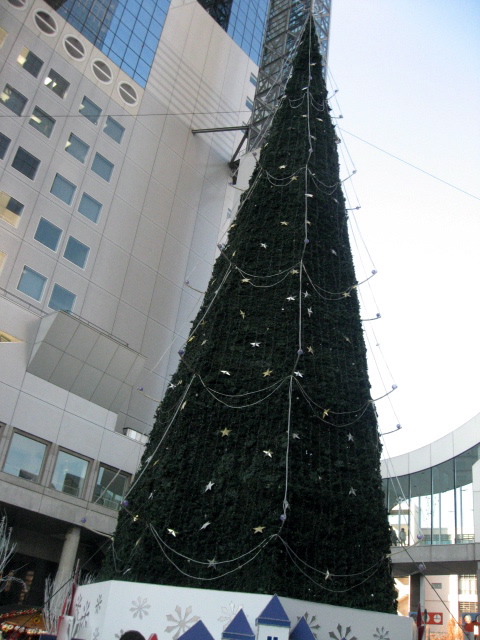 e0139165_026199.jpg