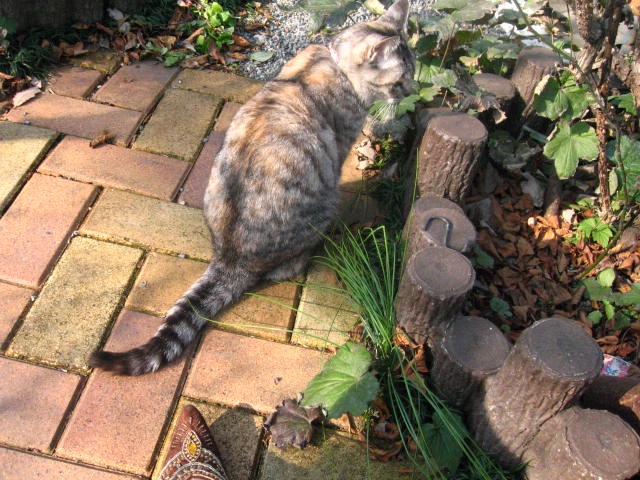 d0070473_12473640.jpg