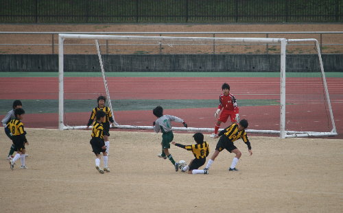 f0181173_1728247.jpg