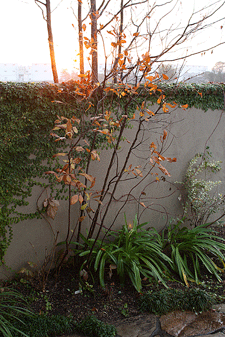 c0167576_7563416.gif