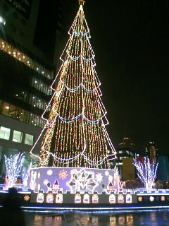 f0099876_23235269.jpg