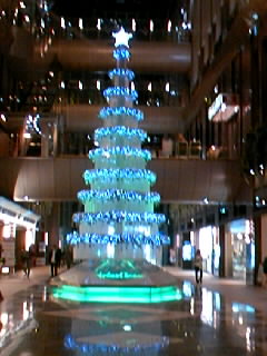f0099876_23241127.jpg