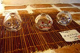 b0050079_22471916.jpg