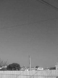 f0100480_18313976.jpg
