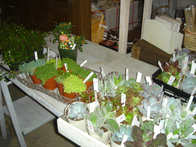 f0153383_2093388.jpg