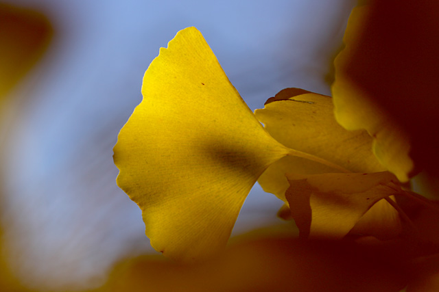b0067789_13533128.jpg