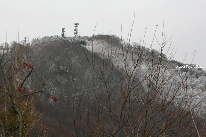 f0001895_1423263.jpg
