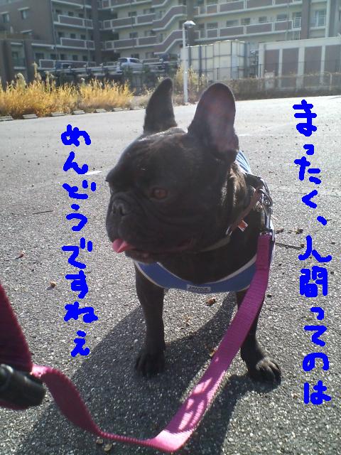 c0113109_0141681.jpg