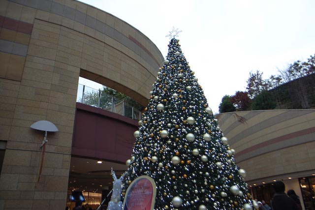 c0186511_1151286.jpg