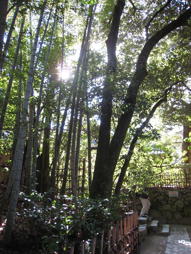 f0002815_22153927.jpg