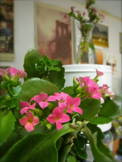 c0120817_11163564.jpg