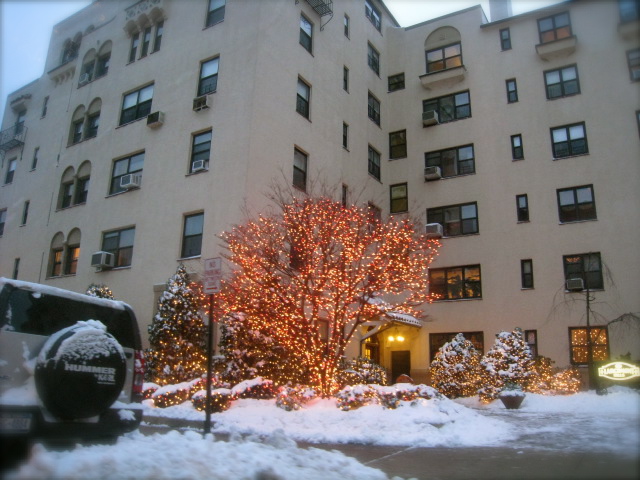 c0120817_1128023.jpg