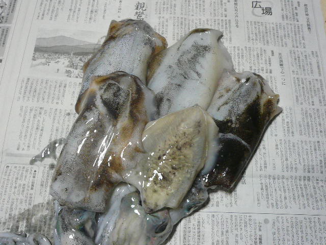 e0026017_1927489.jpg