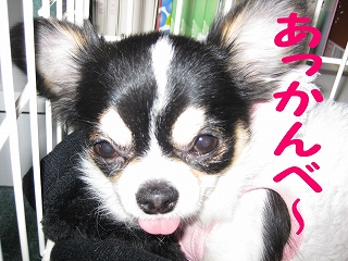 f0149420_1523655.jpg