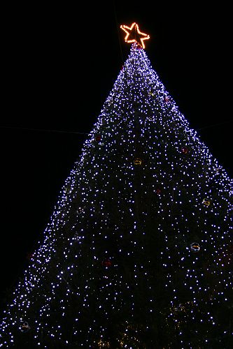 a0040021_18595868.jpg