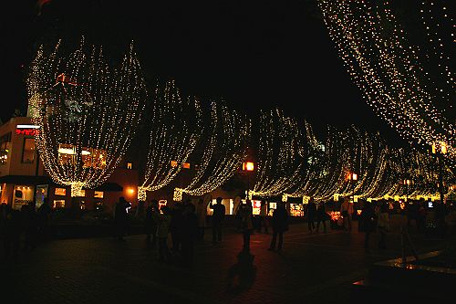 a0040021_19211970.jpg