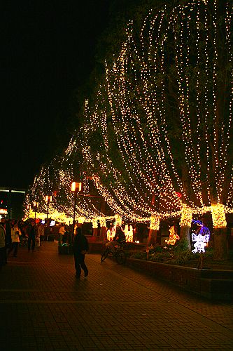 a0040021_1942368.jpg