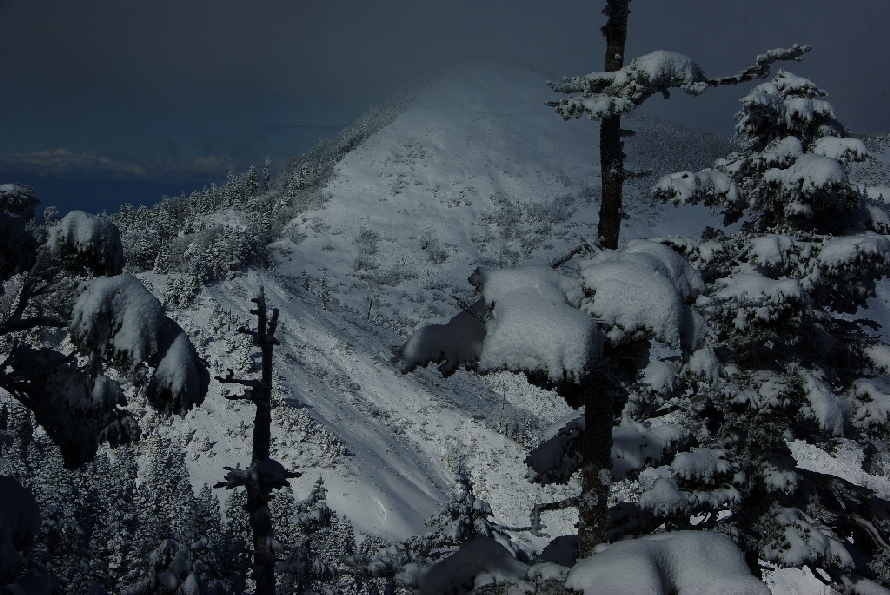 b0062024_23313923.jpg