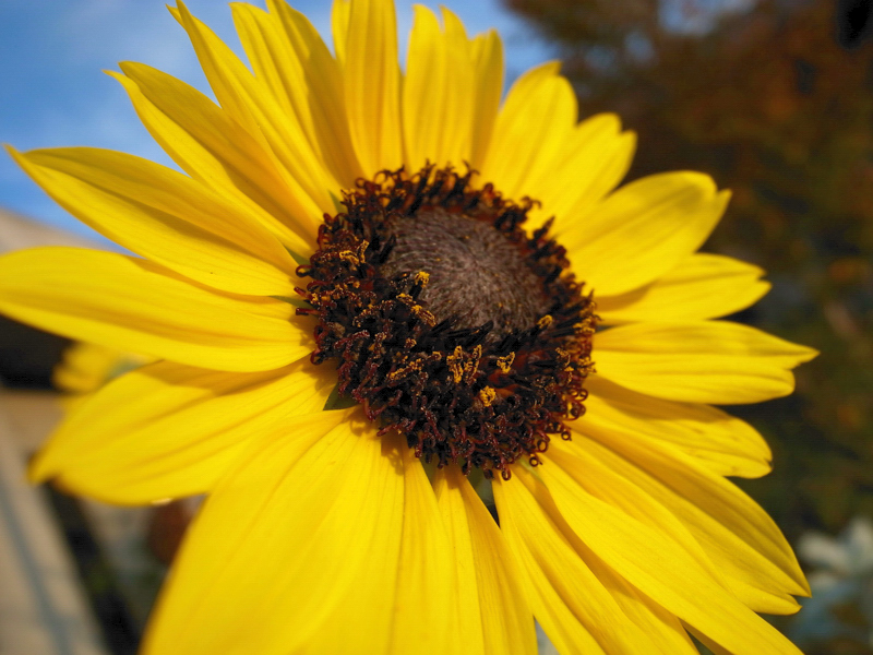 e0135024_10101432.jpg
