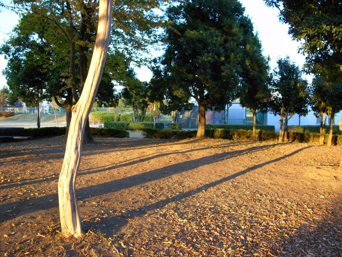 e0135024_1011719.jpg