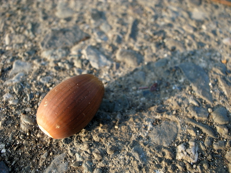 e0135024_109420.jpg