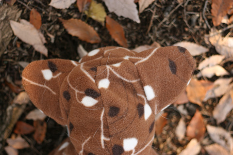 e0071225_9492560.jpg