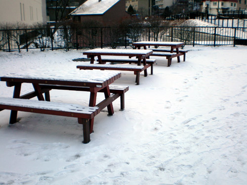 e0037129_22163026.jpg