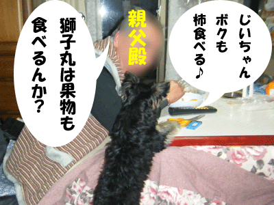 f0008935_1485288.gif