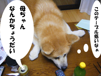 f0008935_149060.gif