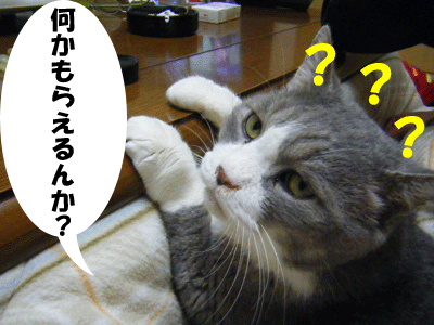 f0008935_1491726.gif