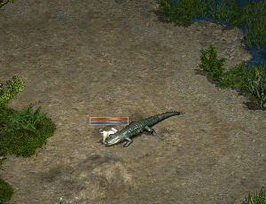 b0147436_20431552.gif