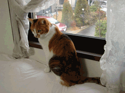 c0136736_223424.gif
