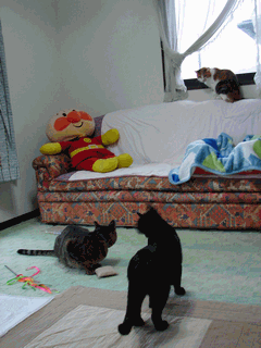 c0136736_2251111.gif