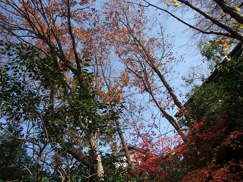 c0154637_14595343.jpg