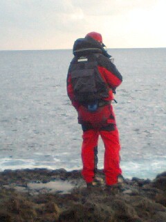 f0009238_9133866.jpg