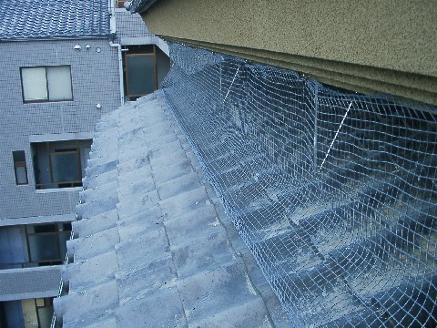 b0001143_1928555.jpg