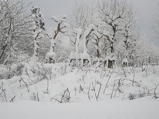 b0157246_212082.jpg