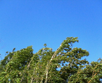 f0073848_1285092.jpg