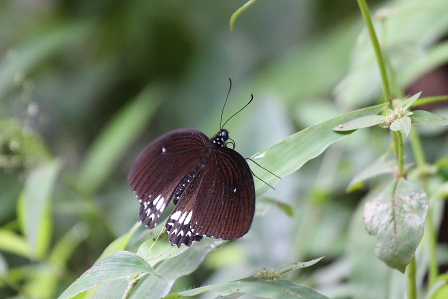 a0094850_2011648.jpg