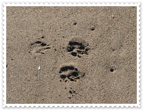 c0145250_2043155.jpg