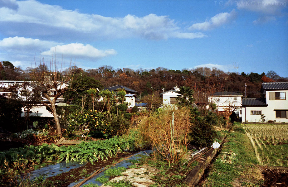 d0100156_20514968.jpg