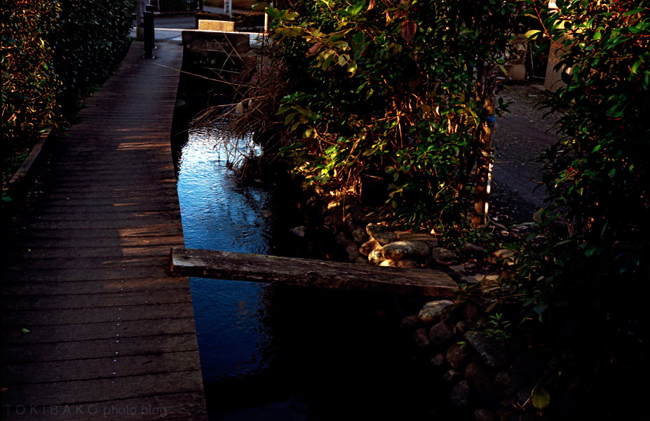 d0100156_20522530.jpg
