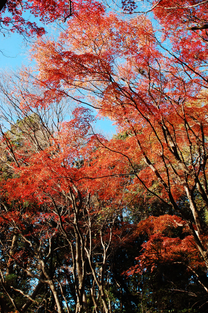 f0176458_913171.jpg