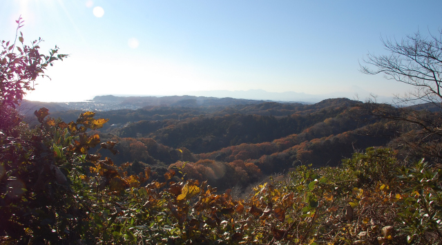 f0176458_9262210.jpg