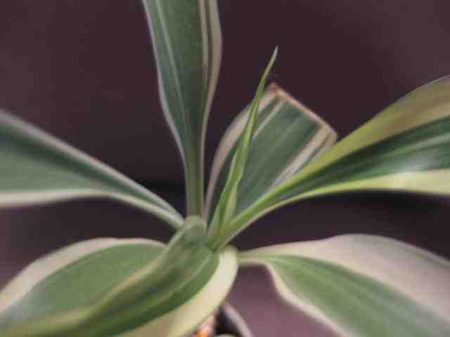 c0186663_21172074.jpg