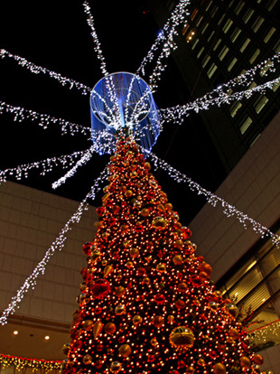 d0013068_11522224.jpg